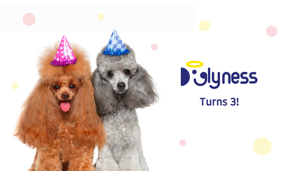 Tre år av Doglyness: En resa av passion, syfte och tillväxt